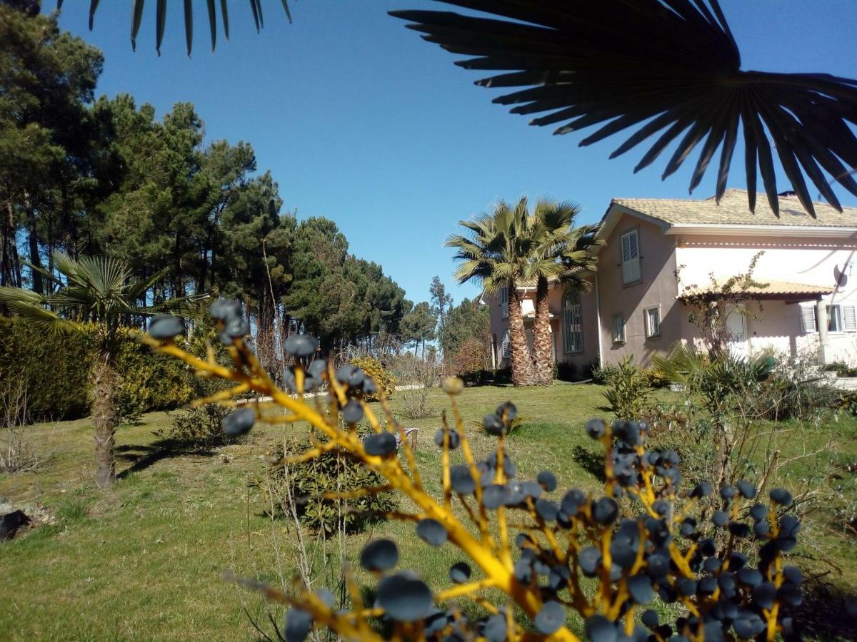 Casa Do Soito Hotel Mangualde Ngoại thất bức ảnh